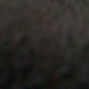 Meet your Posher, Carolyn